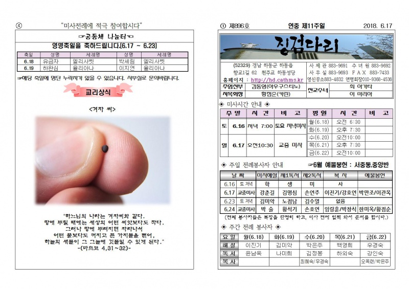 (2018.6.17)연중제11주일주보001.jpg