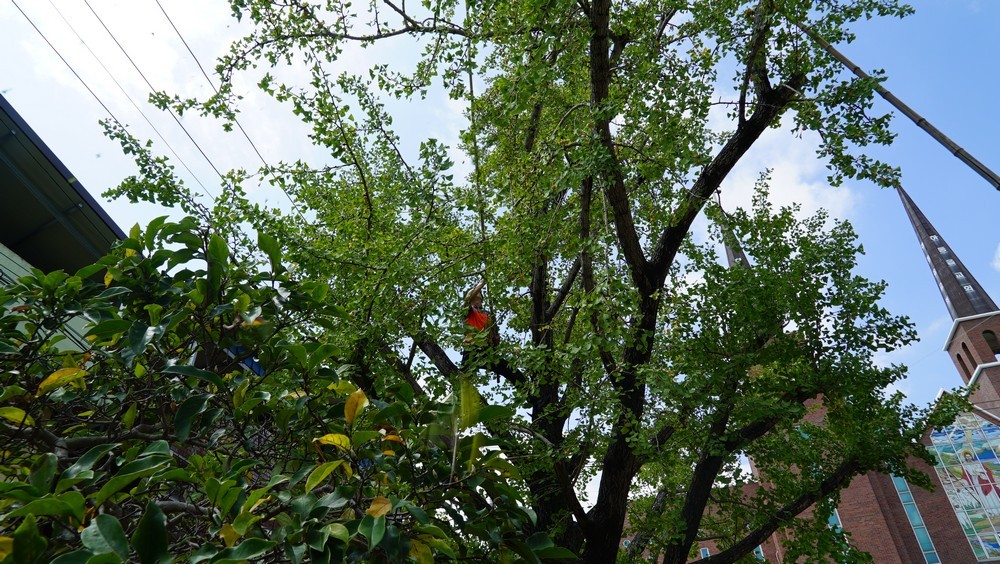 DSC03422.JPG