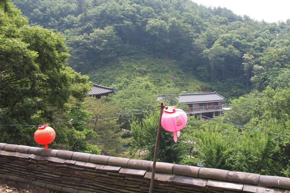 H6063835.JPG