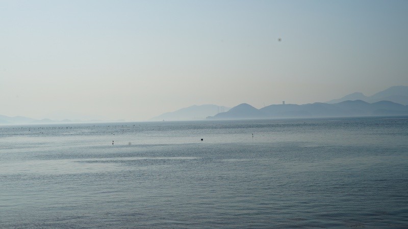 DSC09907.JPG