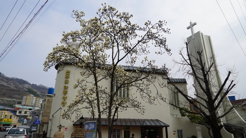 DSC03415.JPG