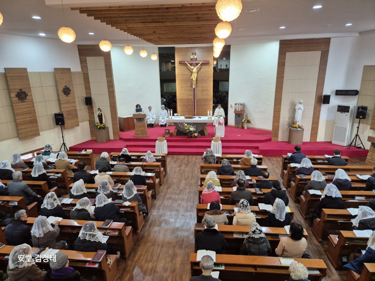 KakaoTalk_20250202_213934342.jpg